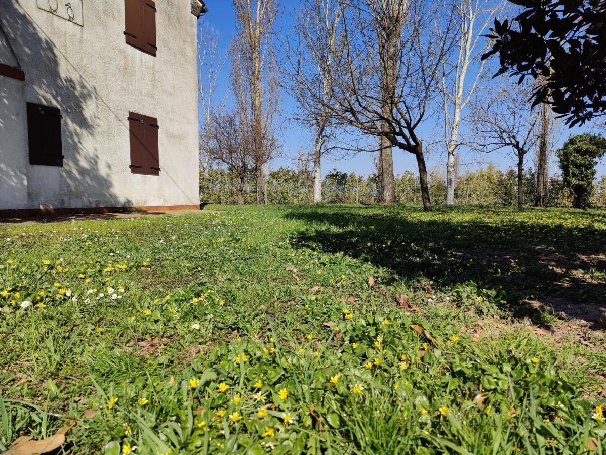 Ca Degli Aironi Villa Cittanova  Bagian luar foto